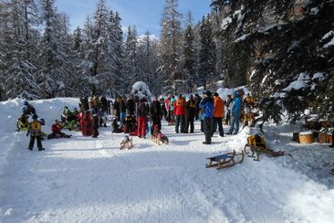 Jouslada / Schlittelrennen (gdl_900912132_image)