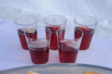 Neujahrsempfang auf Grüsch Danusa (gdl_900934456_image)