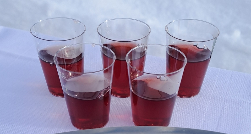 Neujahrsempfang auf Grüsch Danusa (gdl_900934456_image)