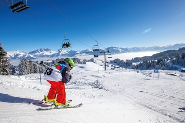 Dr gschwindscht Danusa-Fuchs (gdl_901080958_image)