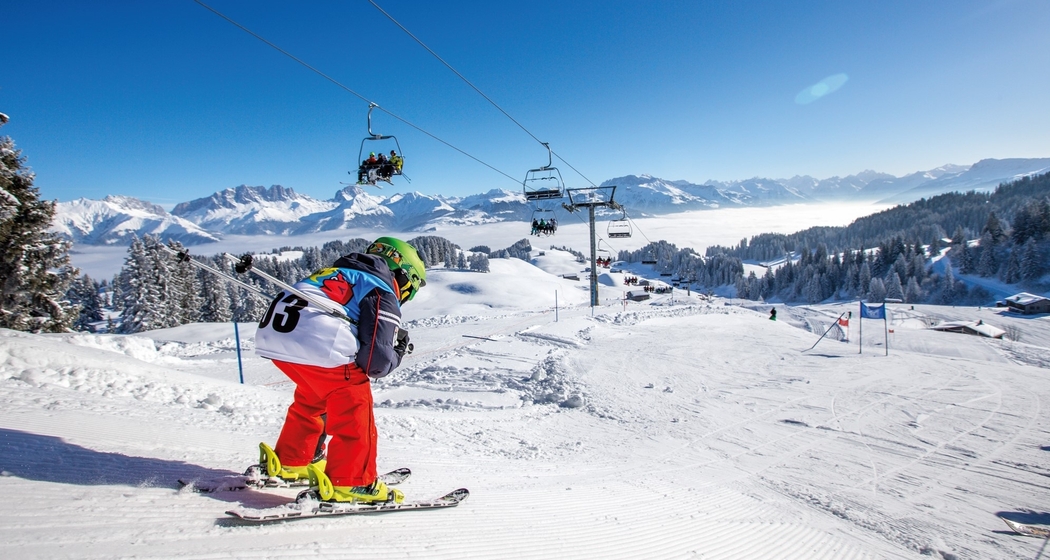 Dr gschwindscht Danusa-Fuchs (gdl_901080958_image)