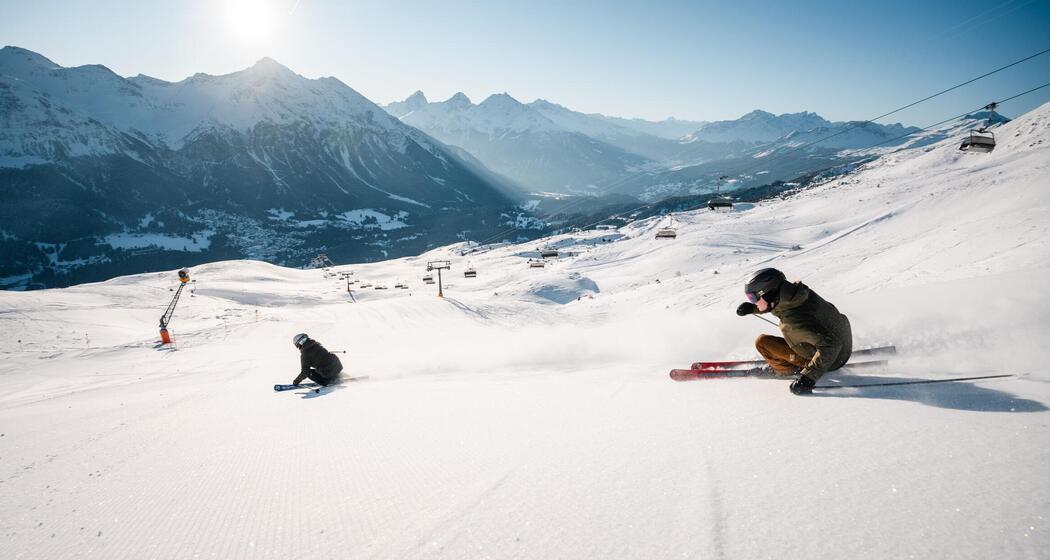 Early Bird Arosa (gdl_901098958_image)