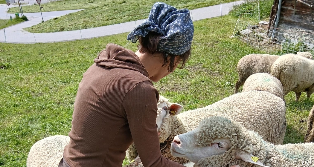 Besuch auf dem Bauernhof (gdl_901207434_image)