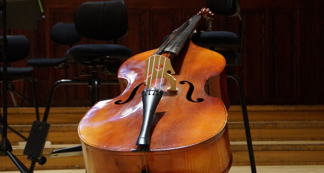 Bündner Jugendchor und orchester le phénix (gdl_901901518_image)