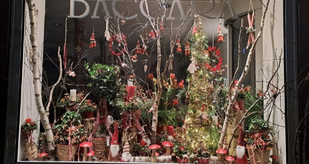 Alpiner-Weihnachtsglanz (gdl_902251817_image)