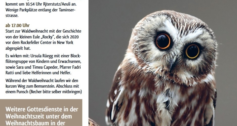 Gottesdienst auf der Jahresschwelle (gdl_902341919_image)