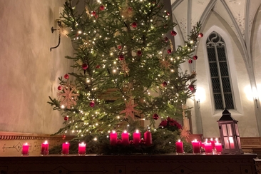 BÖS-CHIN (gdl_902970057_image)