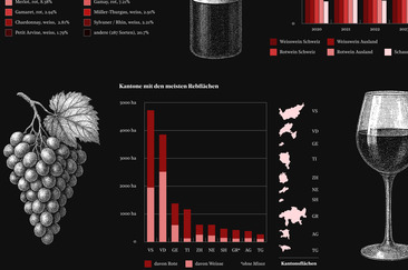 KaM_Von Trauben, Heidi und Gesundheit, wie Bilder die Welt verständlicher machen (gdl_902990353_image)