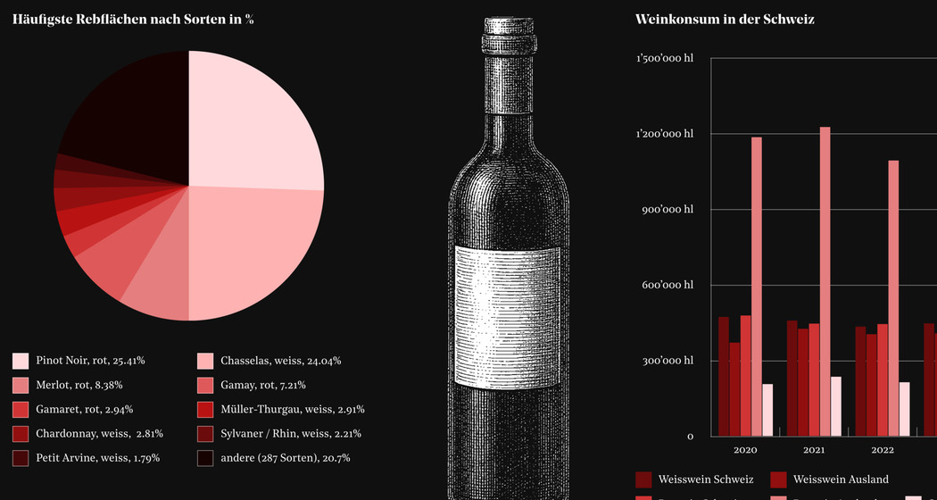 KaM_Von Trauben, Heidi und Gesundheit, wie Bilder die Welt verständlicher machen (gdl_902990353_image)