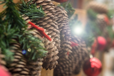 Begegnung im Advent in Obersaxen- Meierhof (gdl_903174843_image)