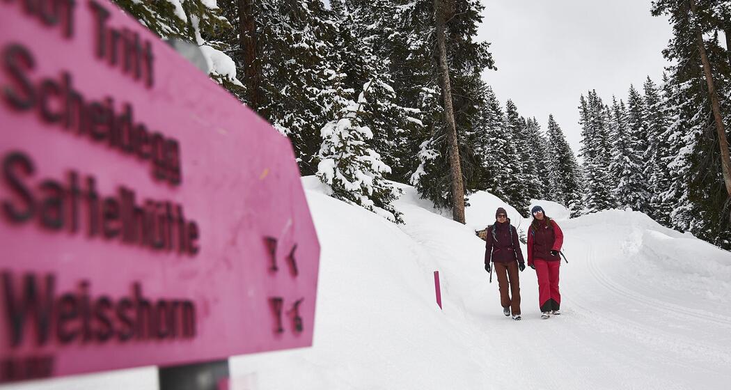 ArosaAkademie «Blick hinter die Kulisse der Winterwanderwege und Loipen» (gdl_903384094_image)