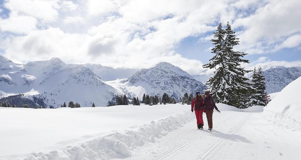ArosaAkademie «Blick hinter die Kulisse der Winterwanderwege und Loipen» (gdl_903384098_image)