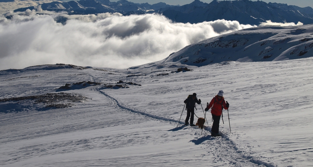 Geführte Panorama-Schneeschuhwanderung (gdl_903523025_image)