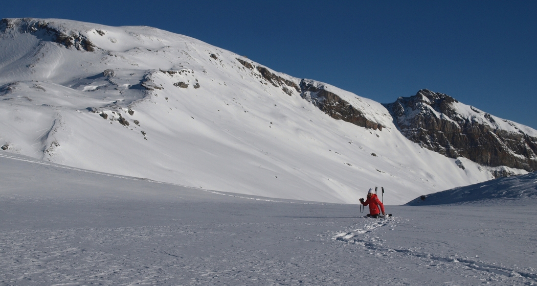 Geführte Panorama-Schneeschuhwanderung (gdl_903523026_image)