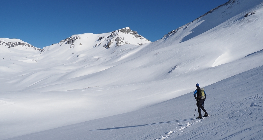 Geführte Schneeschuhwanderung auf den Piz Dolf / Trinserhorn 3000m (gdl_903526517_image)