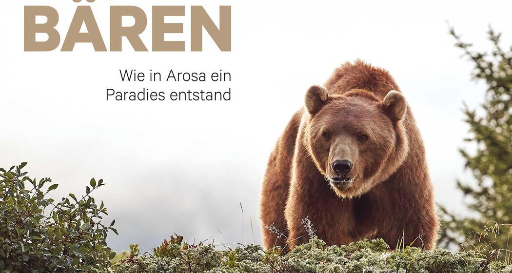 Vernissage im Arosa Bärenland (gdl_903542934_image)