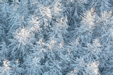 Breathwork Engadin (gdl_904201852_image)