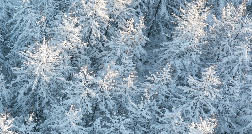 Breathwork Engadin (gdl_904201852_image)