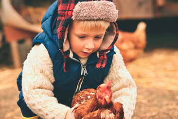 "Plai a mi" Programm: Bauernhoferlebnis in Brigels (gdl_904284063_image)