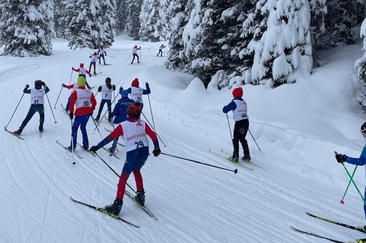 Fondo San Bernardino (gdl_904347681_image)