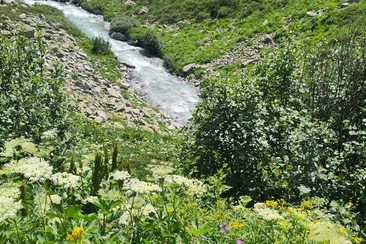 Alpenüberquerung Via Valtellina (gdl_904414527_image)