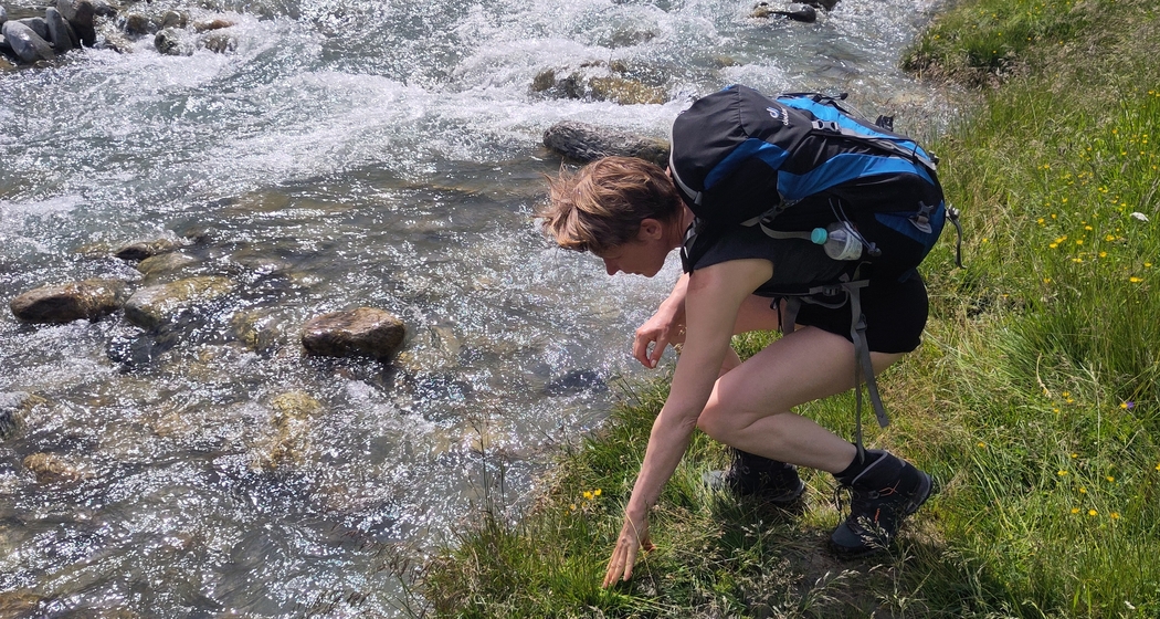 Alpenüberquerung Via Valtellina (gdl_904414528_image)