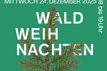 Forest Christmas Laax (gdl_904833201_image)