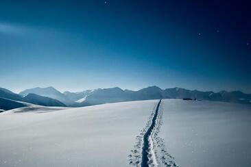 ArosaAkademie «Mondschein-Schneeschuh-Wanderung» (gdl_904856781_image)