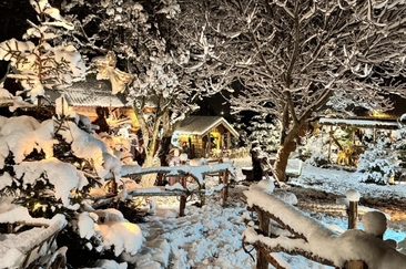 Wiähnachtsdörfli Mels (gdl_905267185_image)