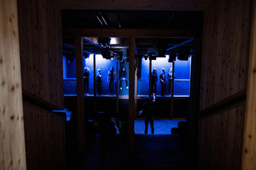 ZUOZ GLOBE PLAYS- The wild Duck (gdl_905363317_image)