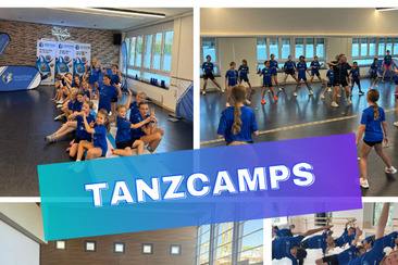 Tanzcamp Chur (gdl_905499755_image)