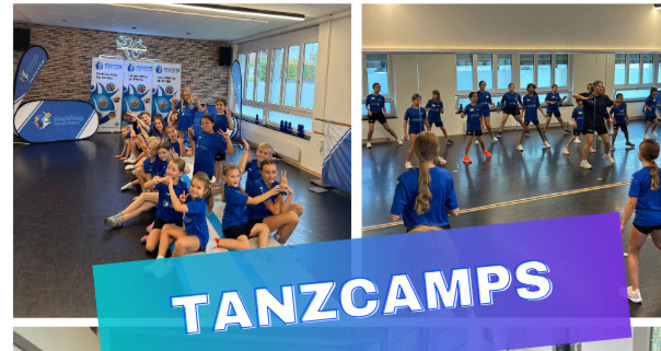Tanzcamp Chur (gdl_905499755_image)