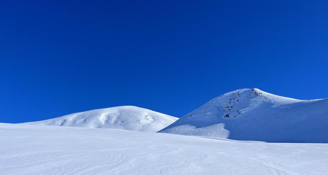 Schneeschuhsafari vom Prättigau ins Schanfigg (gdl_905519608_image)