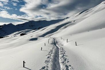 Schneeschuhsafari vom Prättigau ins Schanfigg (gdl_905519615_image)
