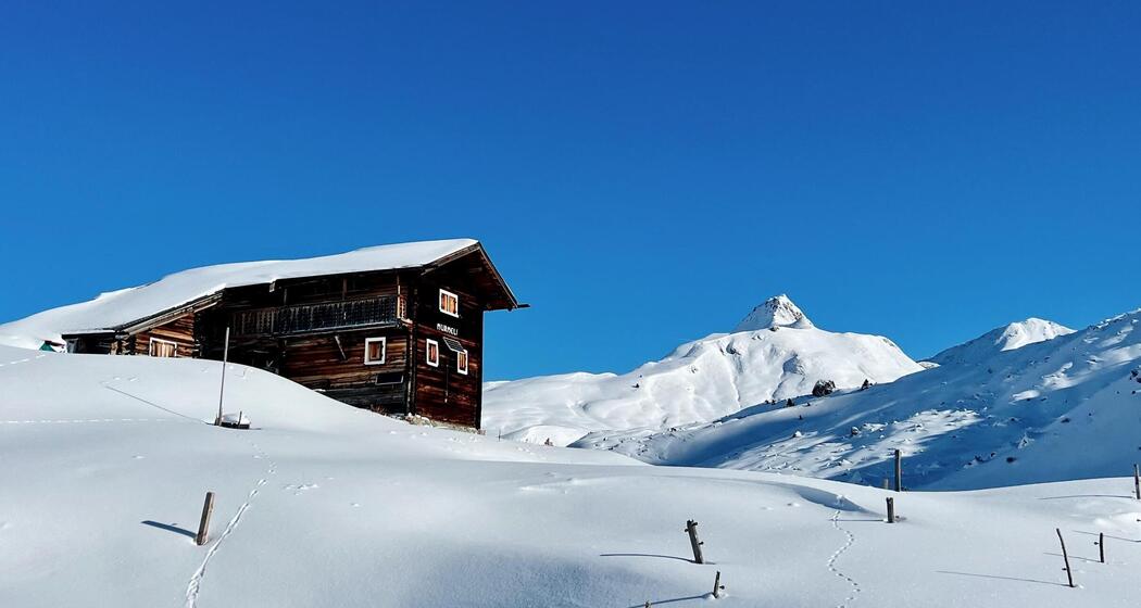 Schneeschuhsafari vom Prättigau ins Schanfigg (gdl_905519629_image)