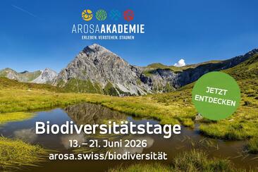 Biodiversitätsmarkt Arosa 2026 (gdl_905519630_image)