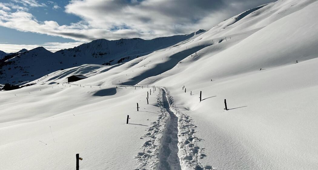 Schneeschuhsafari vom Prättigau ins Schanfigg (gdl_905519631_image)