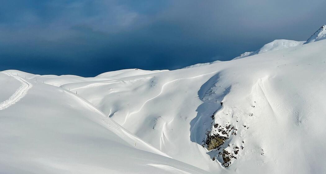 Schneeschuhsafari vom Prättigau ins Schanfigg (gdl_905519633_image)