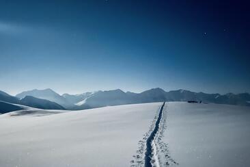 Mondschein & Fondue am Hochwang (gdl_905519634_image)