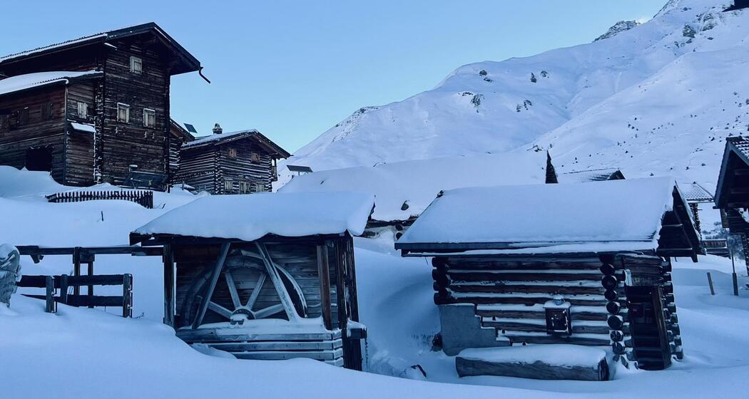 Schneeschuhsafari vom Prättigau ins Schanfigg (gdl_905519635_image)