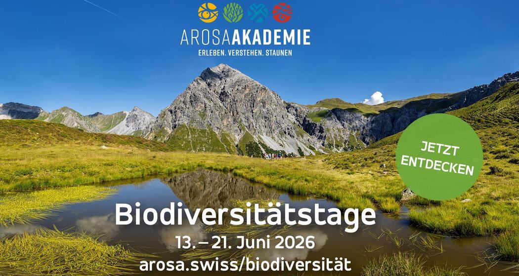 Biodiversitätstage Arosa 2026 (gdl_905519636_image)
