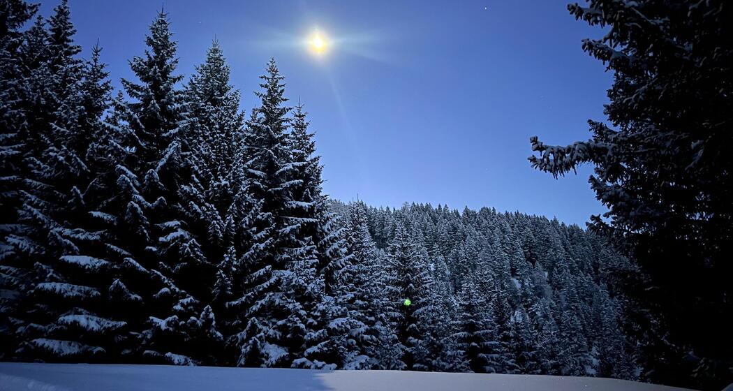 Mondschein & Fondue am Hochwang (gdl_905519655_image)