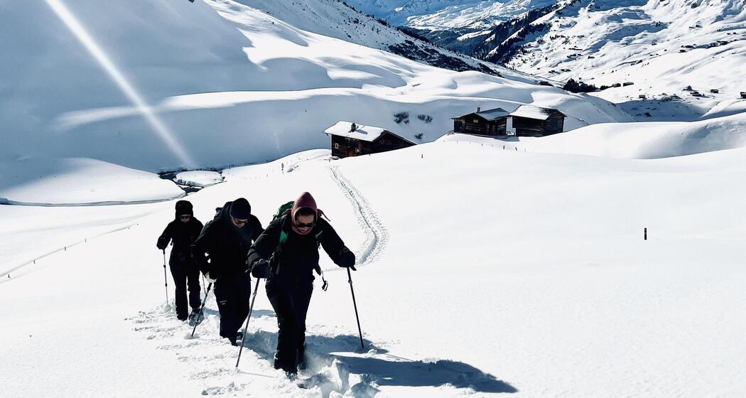 Schneeschuhsafari vom Prättigau ins Schanfigg (gdl_905519672_image)