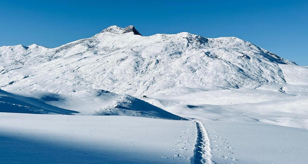 Schneeschuhsafari vom Prättigau ins Schanfigg (gdl_905519678_image)