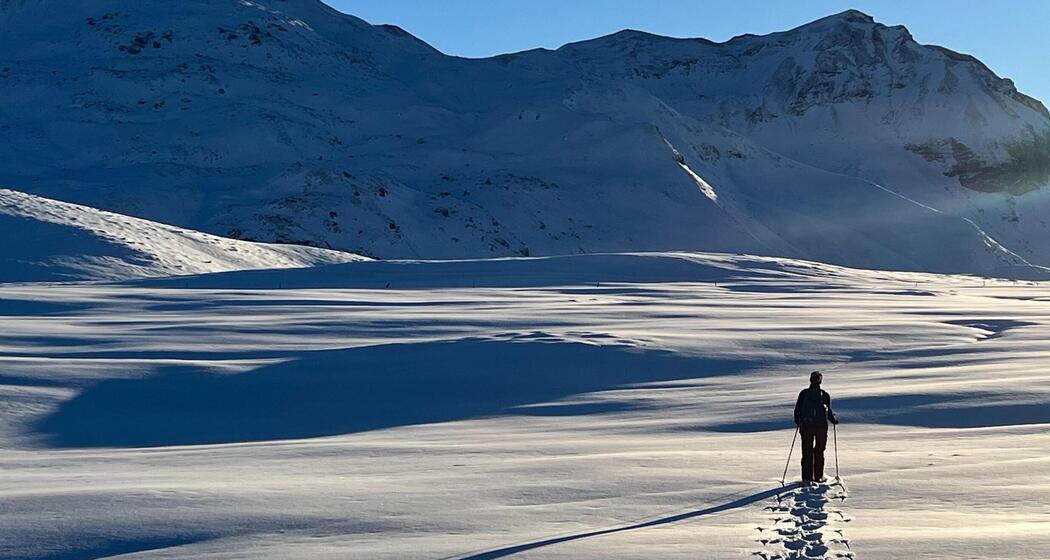 Schneeschuhsafari vom Prättigau ins Schanfigg (gdl_905519679_image)