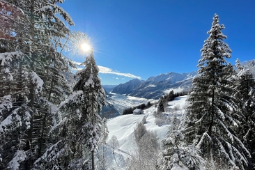 Yoga & Schneeschuhwandern im Val Poschiavo / 3 Tage (gdl_905529825_image)
