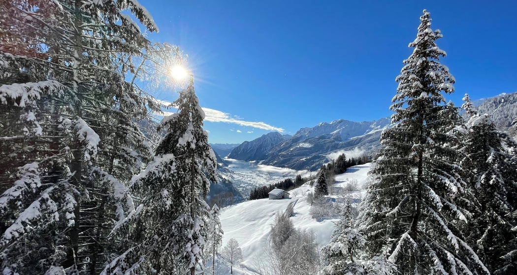 Yoga & Schneeschuhwandern im Val Poschiavo / 3 Tage (gdl_905529825_image)