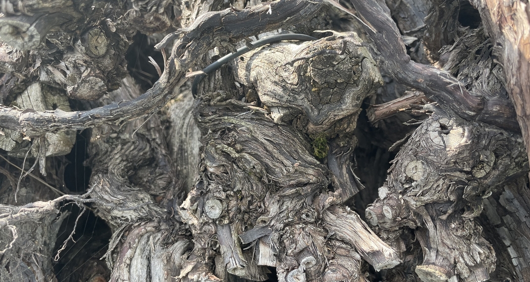 Seniorentreff im Pfrundhaus (gdl_905622414_image)