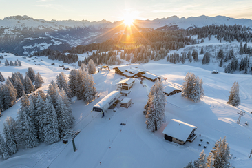 Early-Bird mit Brunch (gdl_905783554_image)