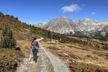Outdoor Yoga Retreat: the Magic of Autumn, Swiss National Park (gdl_905810088_image)